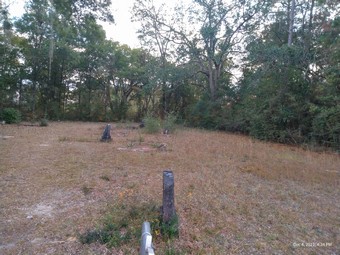 Cobb Cemetery