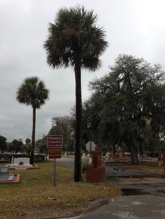 Palmetto Cemetery