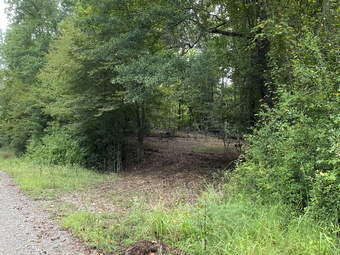 Buckles Cemetery