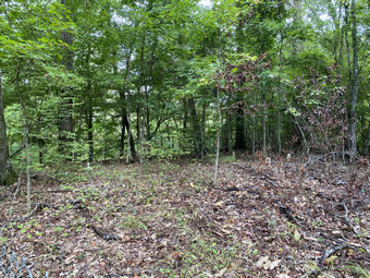 Buckles Cemetery