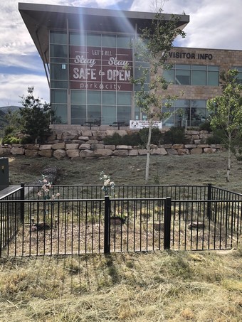 Kimball Rural Burial Ground